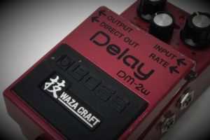 Boss DM 2W