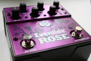 Eventide Rose