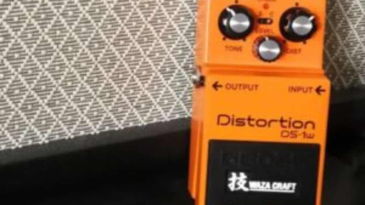 Der AMAZONA-Test: Boss DS-1w Distortion - Delay Dude - the delay 